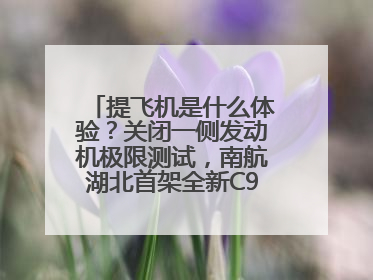 提飞机是什么体验？关闭一侧发动机极限测试，南航湖北首架全新C909入列