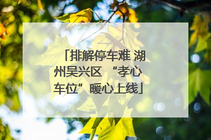 排解停车难 湖州吴兴区 “孝心车位”暖心上线
