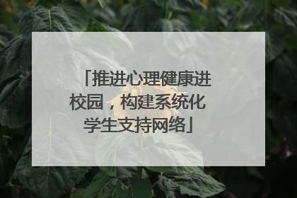 推进心理健康进校园，构建系统化学生支持网络