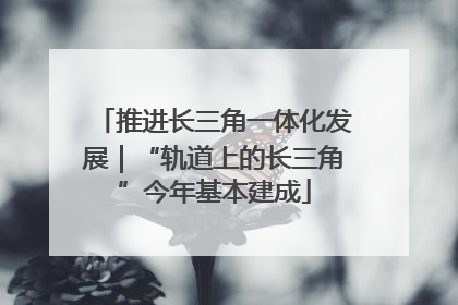 推进长三角一体化发展｜“轨道上的长三角”今年基本建成