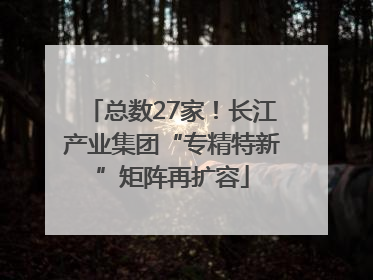 总数27家！长江产业集团“专精特新”矩阵再扩容
