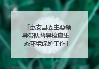 惠安县委主要领导带队督导检查生态环境保护工作