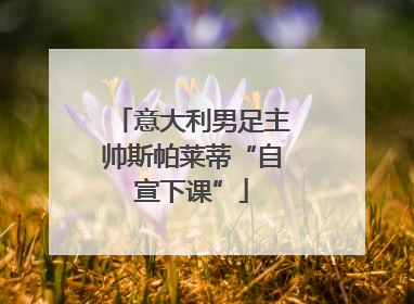 意大利男足主帅斯帕莱蒂“自宣下课”