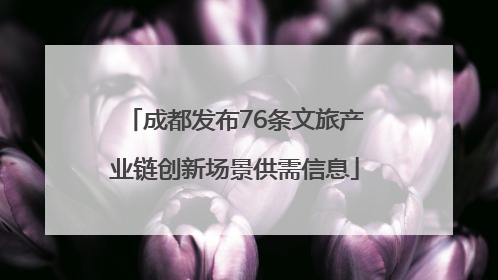 成都发布76条文旅产业链创新场景供需信息