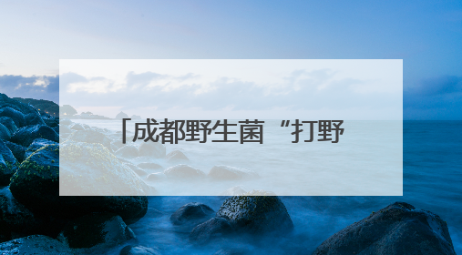 成都野生菌“打野”攻略走红 专家提醒：切勿随意采食，严重或致命
