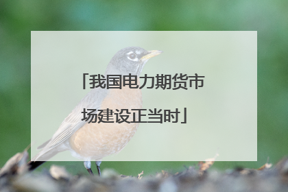 我国电力期货市场建设正当时