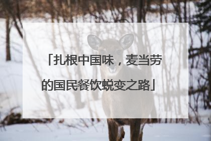 扎根中国味，麦当劳的国民餐饮蜕变之路
