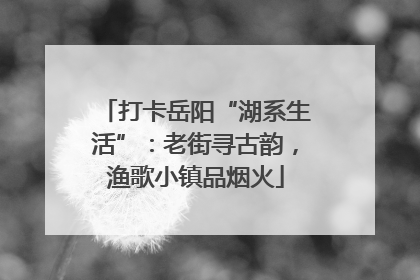 打卡岳阳“湖系生活”：老街寻古韵，渔歌小镇品烟火