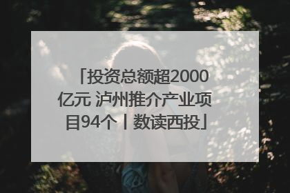 投资总额超2000亿元 泸州推介产业项目94个丨数读西投