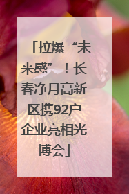 拉爆“未来感”！长春净月高新区携92户企业亮相光博会