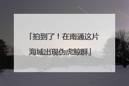 拍到了！在南通这片海域出现伪虎鲸群