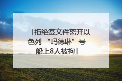 拒绝签文件离开以色列 “玛德琳”号船上8人被拘