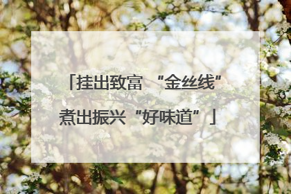 挂出致富 “金丝线” 煮出振兴“好味道”