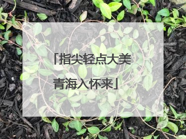指尖轻点大美青海入怀来