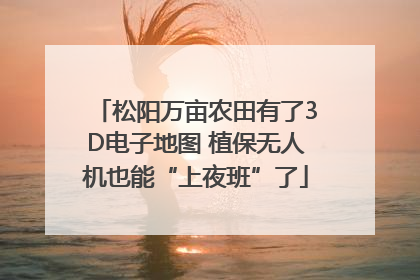 松阳万亩农田有了3D电子地图 植保无人机也能“上夜班”了