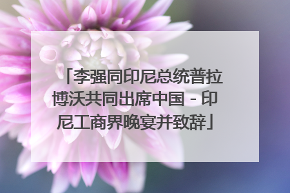 李强同印尼总统普拉博沃共同出席中国－印尼工商界晚宴并致辞