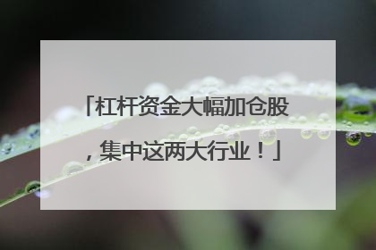 杠杆资金大幅加仓股，集中这两大行业！