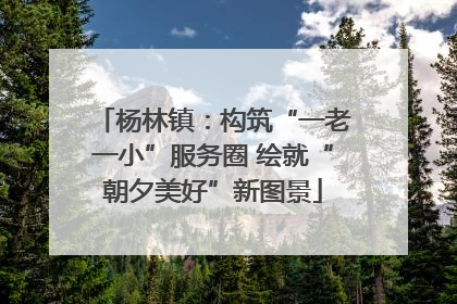 杨林镇：构筑“一老一小”服务圈 绘就“朝夕美好”新图景
