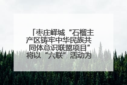 枣庄峄城“石榴主产区铸牢中华民族共同体意识联盟项目”将以“六联”活动为抓手深化品牌建设