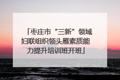 枣庄市“三新”领域妇联组织领头雁素质能力提升培训班开班