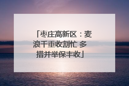 枣庄高新区：麦浪千重收割忙 多措并举保丰收