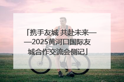 携手友城 共赴未来——2025黄河口国际友城合作交流会侧记