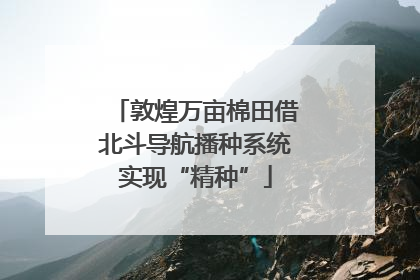 敦煌万亩棉田借北斗导航播种系统实现“精种”