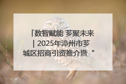 数智赋能 芗聚未来｜2025年漳州市芗城区招商引资推介暨“一县一桌菜·语堂家宴”发布会成功举办