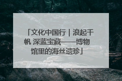 文化中国行｜浪起千帆 深蓝宝藏——博物馆里的海丝遗珍