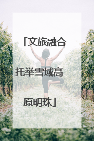 文旅融合托举雪域高原明珠