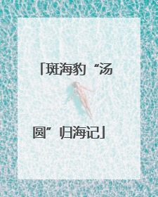 斑海豹“汤圆”归海记
