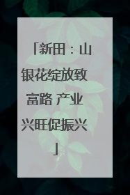 新田：山银花绽放致富路 产业兴旺促振兴