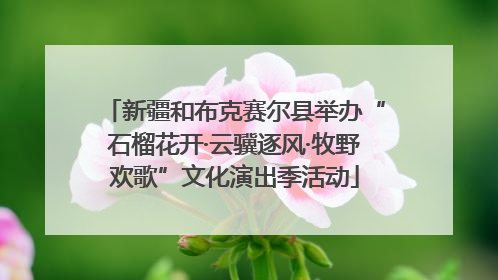 新疆和布克赛尔县举办“石榴花开·云骥逐风·牧野欢歌”文化演出季活动