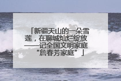 新疆天山的一朵雪莲，在聊城灿烂绽放——记全国文明家庭“詹春芳家庭”
