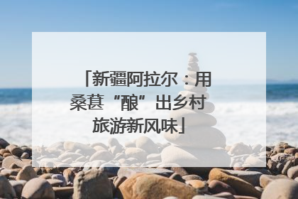 新疆阿拉尔：用桑葚“酿”出乡村旅游新风味