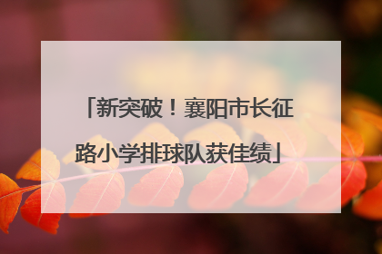 新突破！襄阳市长征路小学排球队获佳绩