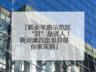 新乡平原示范区：“葚”是诱人！黄河滩百亩桑葚等你来采摘