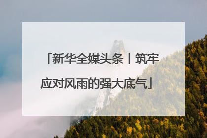 新华全媒头条丨筑牢应对风雨的强大底气