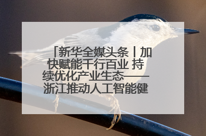 新华全媒头条丨加快赋能千行百业 持续优化产业生态——浙江推动人工智能健康有序发展观察