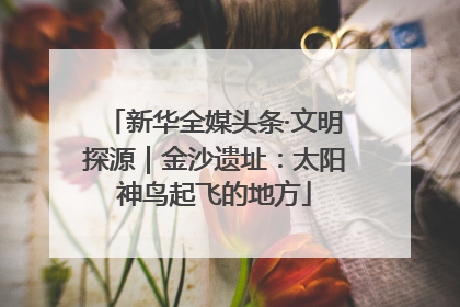 新华全媒头条·文明探源｜金沙遗址：太阳神鸟起飞的地方