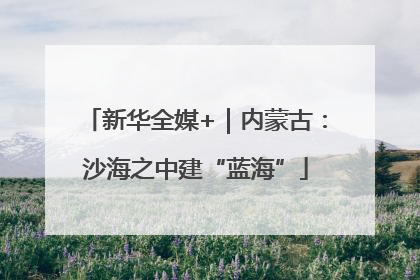 新华全媒+｜内蒙古：沙海之中建“蓝海”