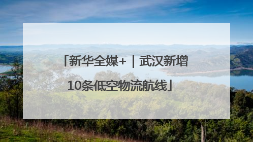 新华全媒+｜武汉新增10条低空物流航线