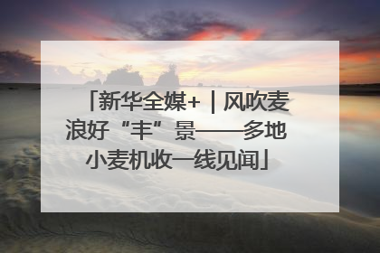 新华全媒+｜风吹麦浪好“丰”景——多地小麦机收一线见闻