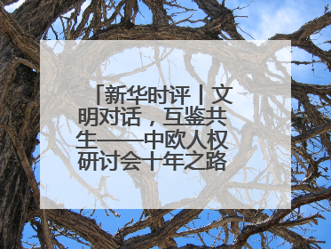 新华时评丨文明对话，互鉴共生——中欧人权研讨会十年之路的深刻启示