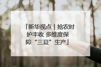 新华视点｜抢农时 护丰收 多维度保障“三夏”生产