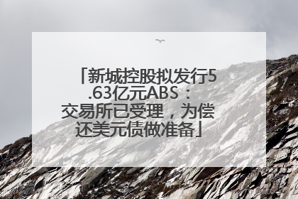 新城控股拟发行5.63亿元ABS：交易所已受理，为偿还美元债做准备