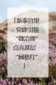 新泰宫里：党建引领“微治理” 点亮基层“网格红”