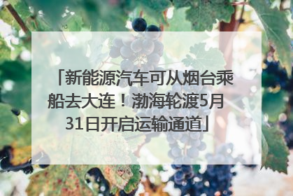 新能源汽车可从烟台乘船去大连！渤海轮渡5月31日开启运输通道