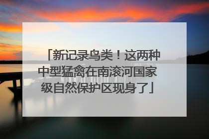 新记录鸟类！这两种中型猛禽在南滚河国家级自然保护区现身了