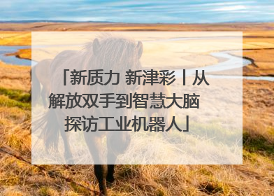 新质力 新津彩丨从解放双手到智慧大脑 探访工业机器人